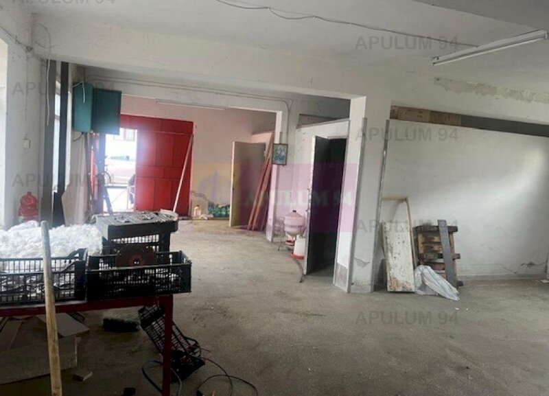 Spatiu productie Cornetu- central.